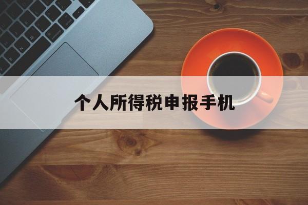 个人所得税申报手机(个人所得税申报手机操作流程)