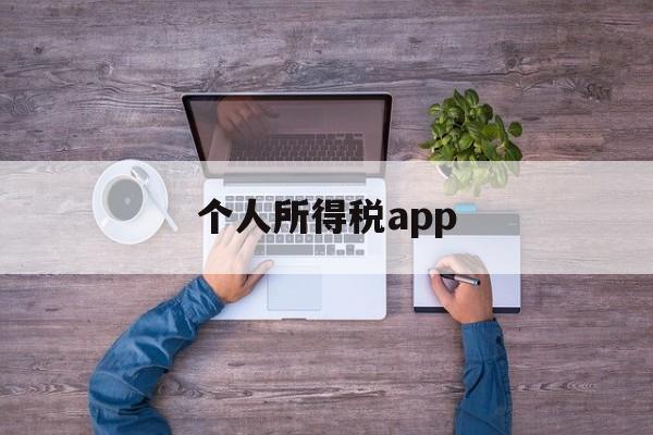 个人所得税app(个人所得税app下载)